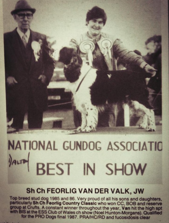 194947-aeeeb-84815449-m750x740-u32ac2.jp